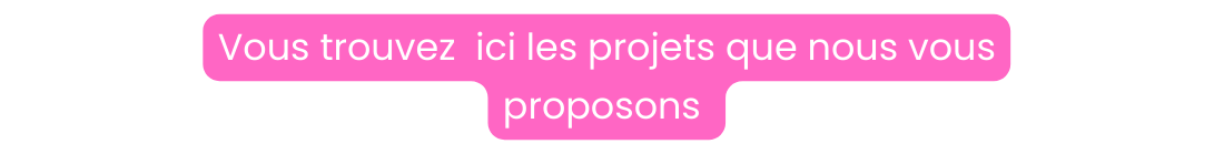 Vous trouvez ici les projets que nous vous proposons